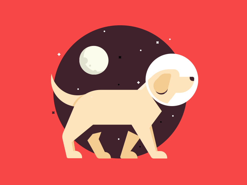 Dog in space +wallpaper labrador freebie wallpaper free print vector m.png