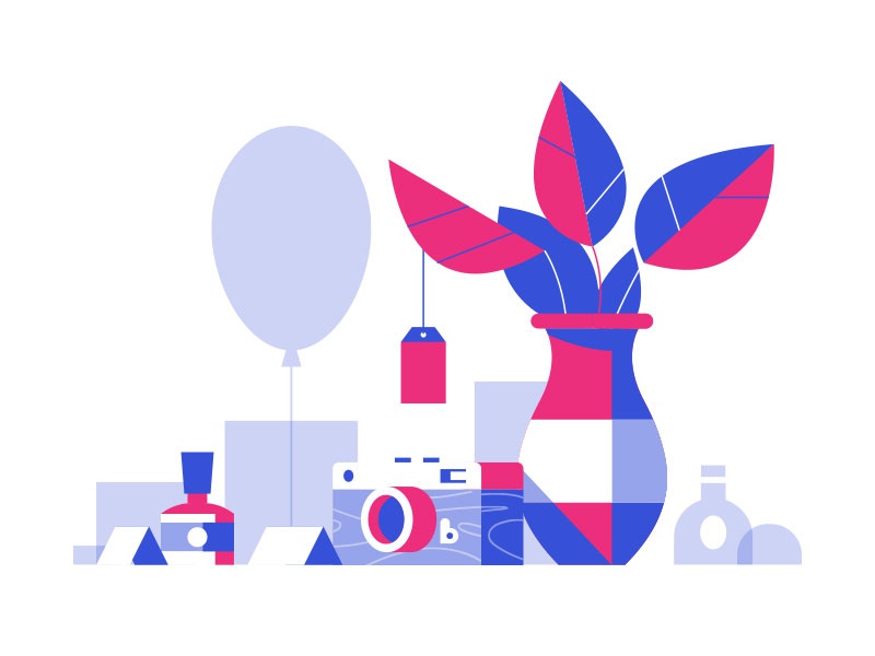 Things  Stuff No. 1 web landing set camera plant retro minimal pack ic.jpg