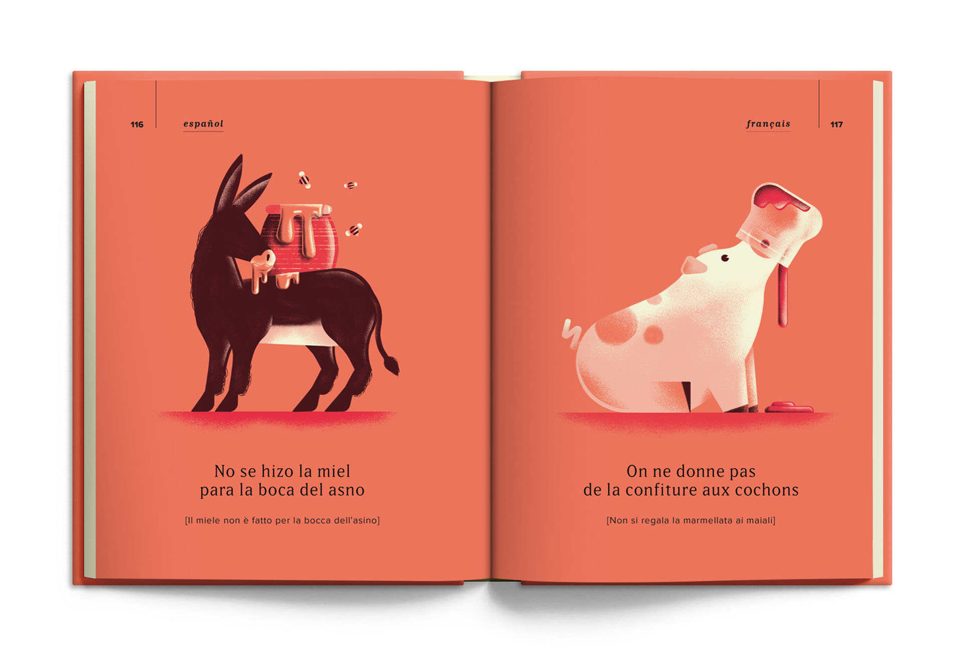 book english expressions French Illustrated book illustrations italian (6).jpg