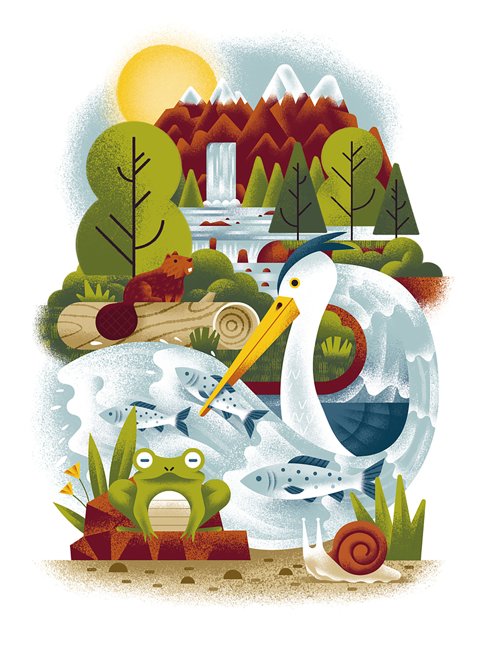 brochure climate change conservation ILLUSTRATION  map Nature nature i (4).jpg