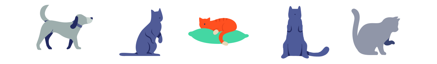 Amazon animation  app band creative direction Halo Health ILLUSTRATION (6).gif