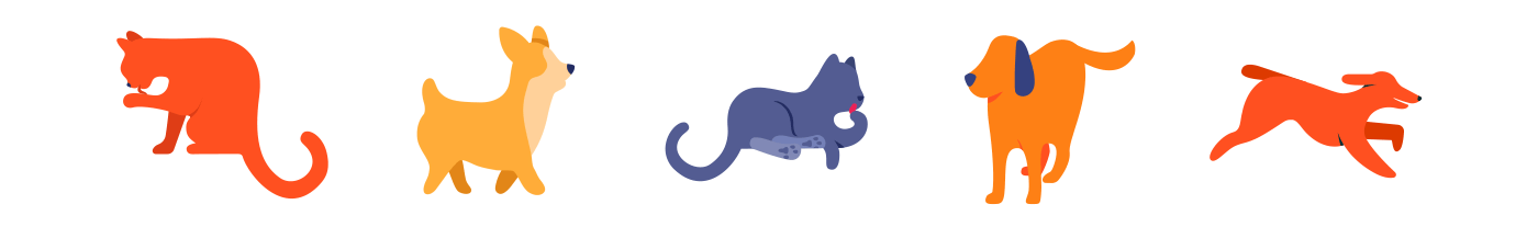 Amazon animation  app band creative direction Halo Health ILLUSTRATION (7).gif