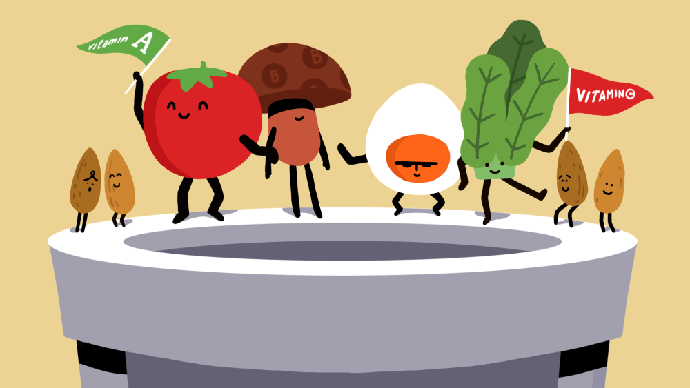 RALEYS SHELF GUIDE on Behance.gif