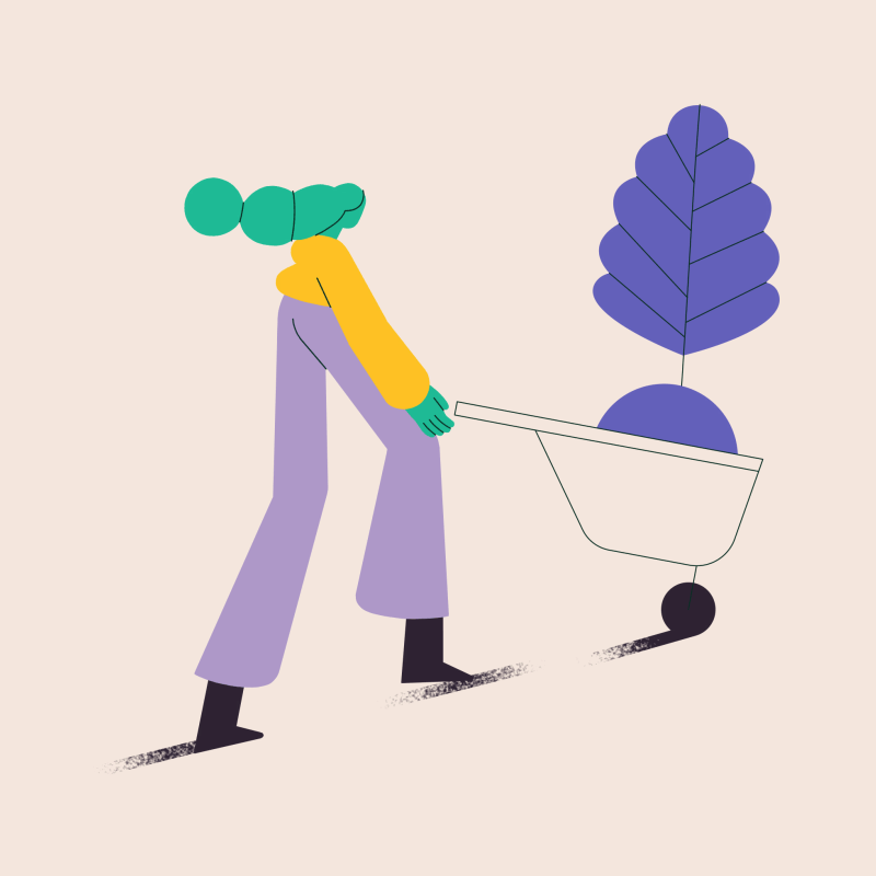 TED-Ed - What if there were 1 trillion more trees on Behance (6).gif