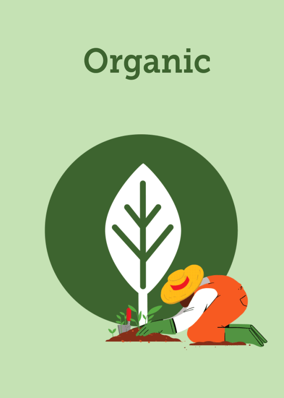 RALEYS SHELF GUIDE on Behance (15).gif