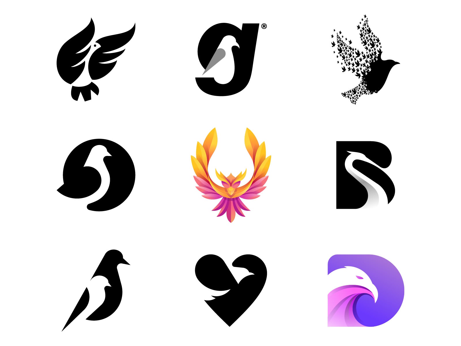 Birds logofolio bird logo toucan logo bird mark bird icon animal pigeo.jpg