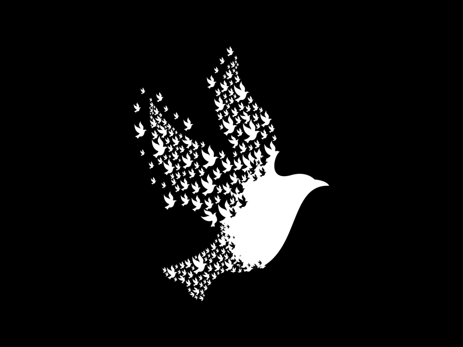 Birds wing simple scribble retro nest minimal logo illustration hipste.jpg