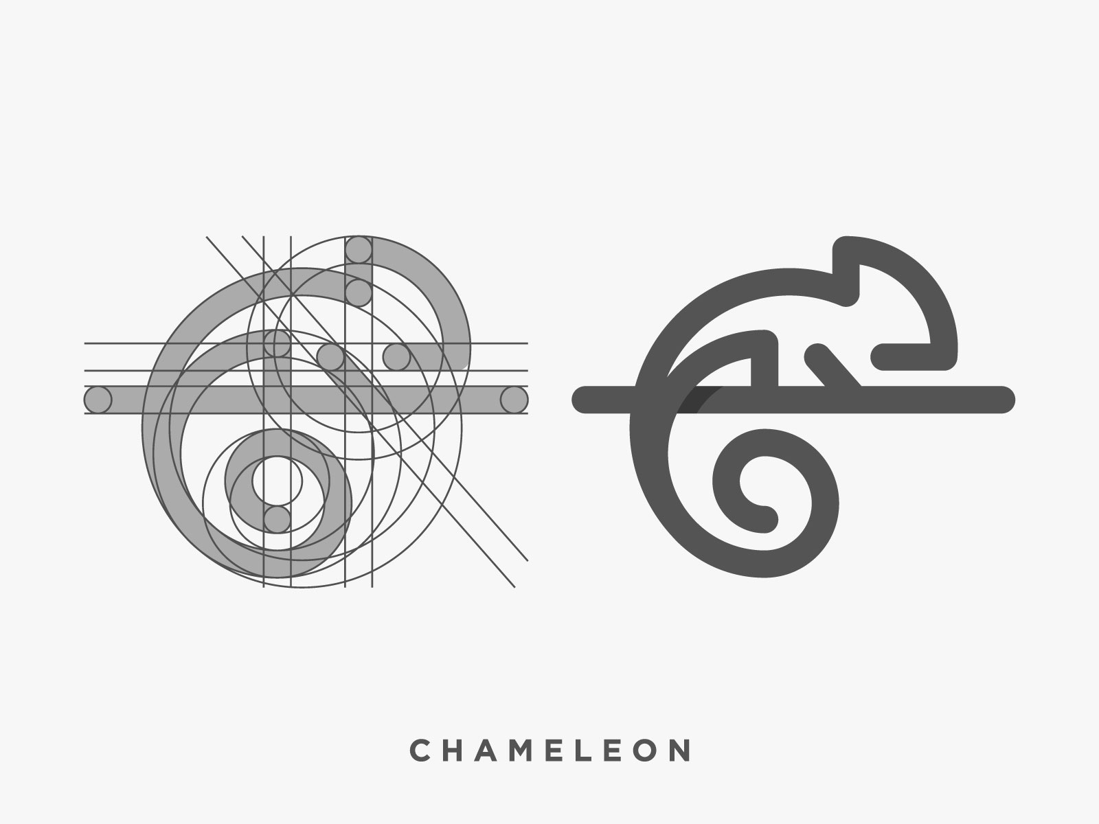 Chameleon identity cute monoline branding minimal 2d design symbol ani.jpg