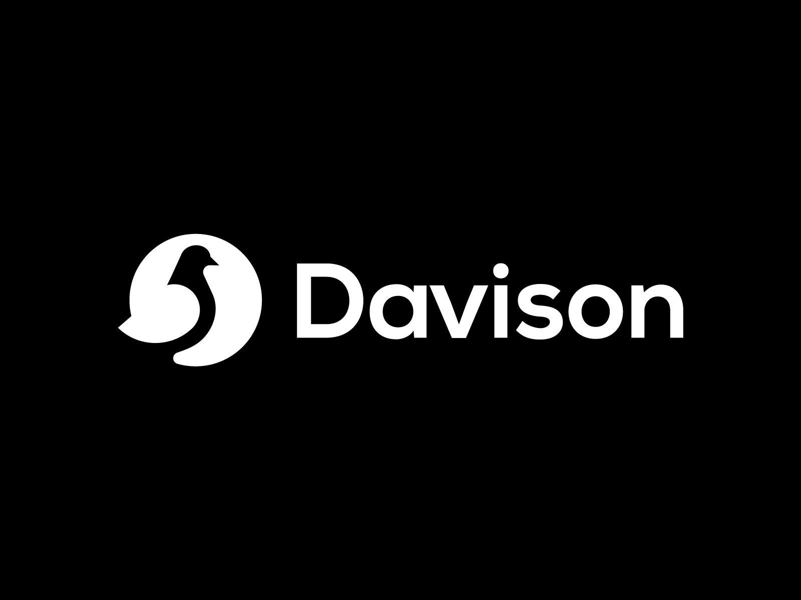 Davison wings geometric identity negative space elegant branding minim.jpg