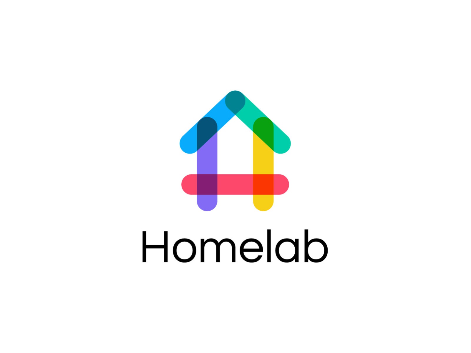 Homelab design illustration flat minimal vector icon illustrator brand.jpg