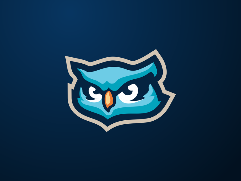 BLUE ICE OWL monogram logo ui typography monogram letter mark brand an.png