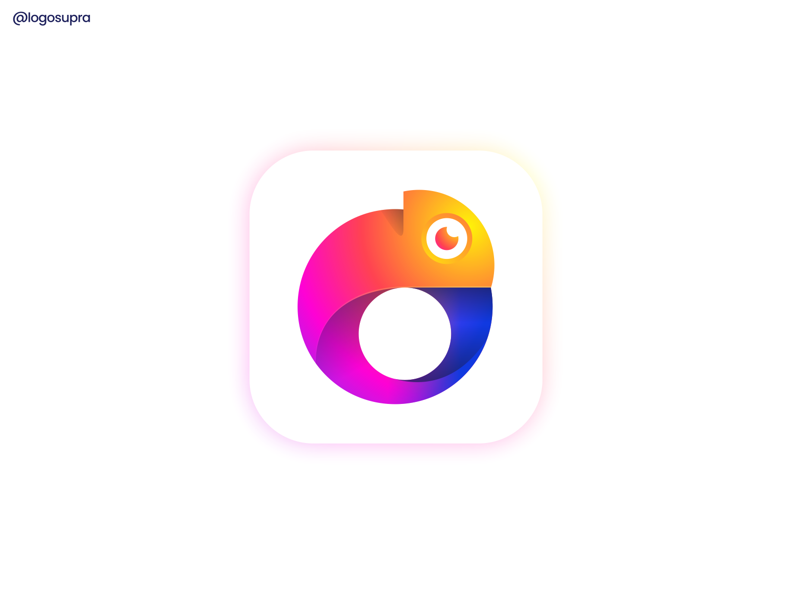 Chamelo brand and identity icon branding logo illustration vector desi.png