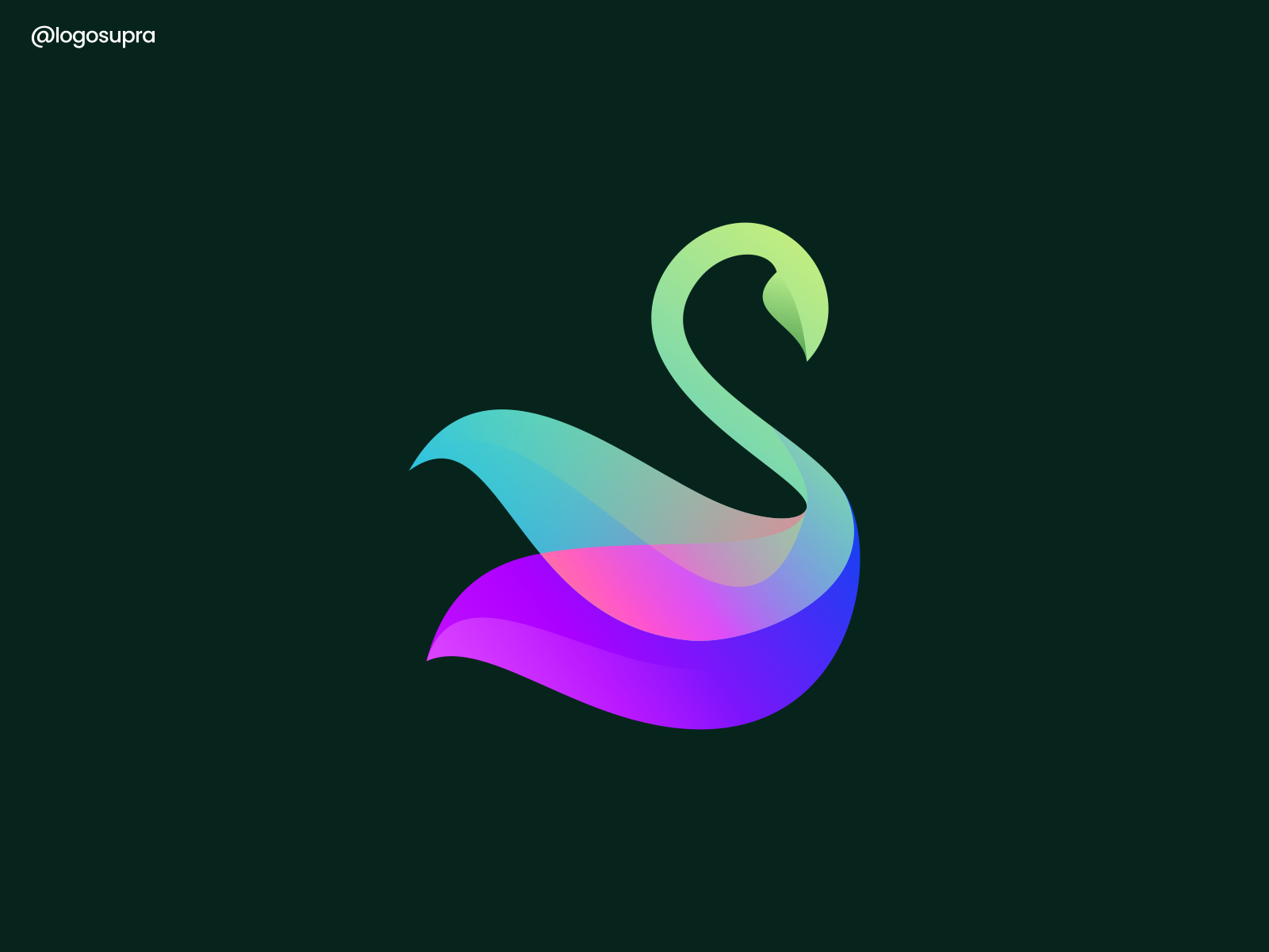 swan web app minimal brand and identity icon branding logo illustratio.png