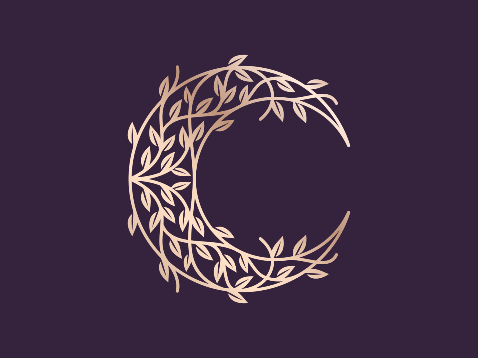 Nature Moon night logo-design designer ui illustration branding symbol.png