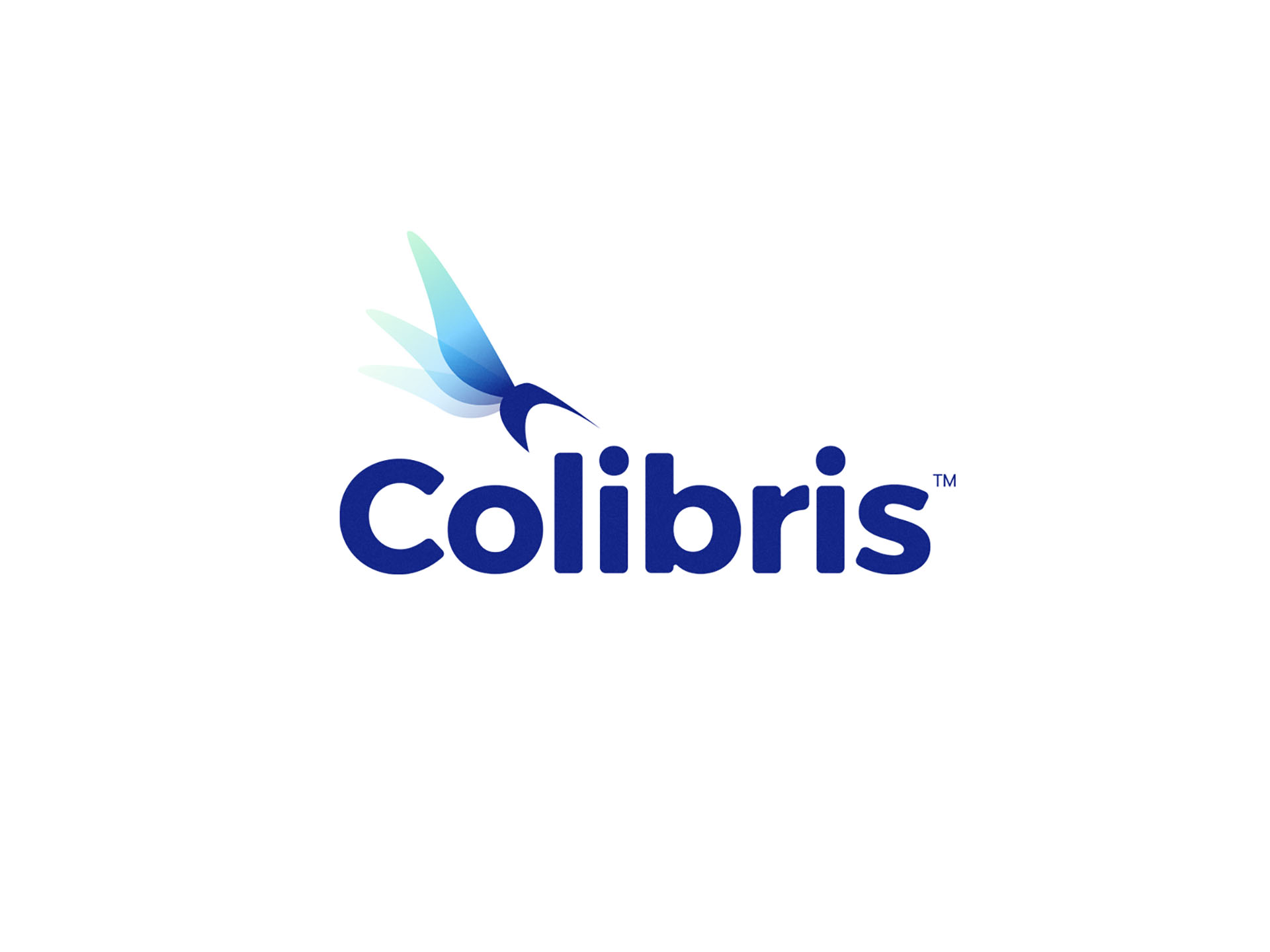 Colibris  Logo Design 02 hummingbird blue gradients wings manufacturer.jpg