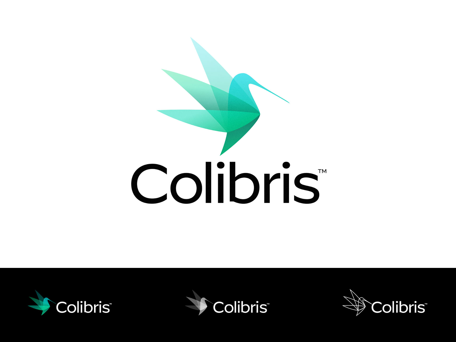 Colibris } Logo Design manufacturer mark icon animal design contrastin.jpg