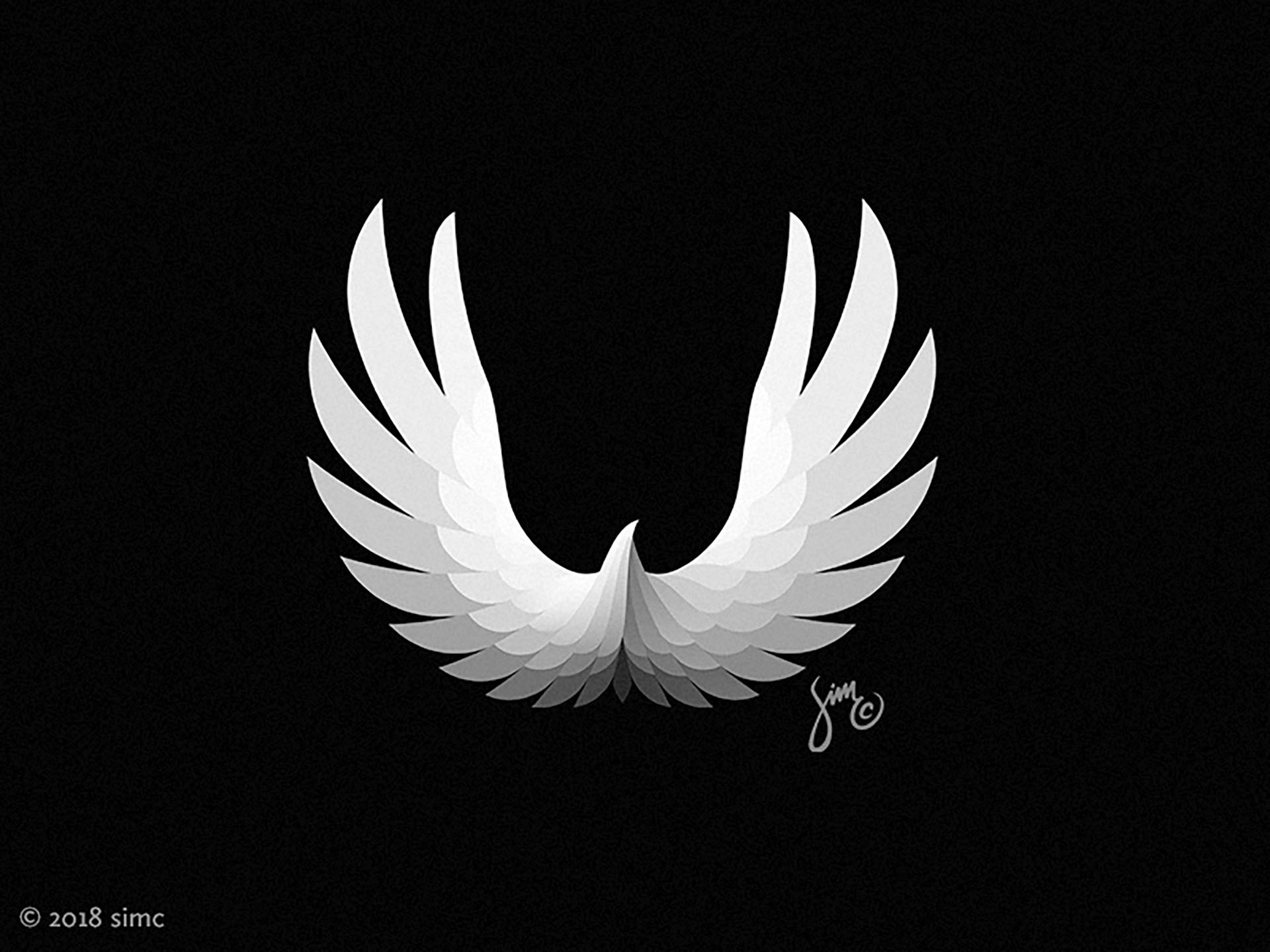 Eagle 4  Concept Logo light complex black and white flight hope majest.jpg