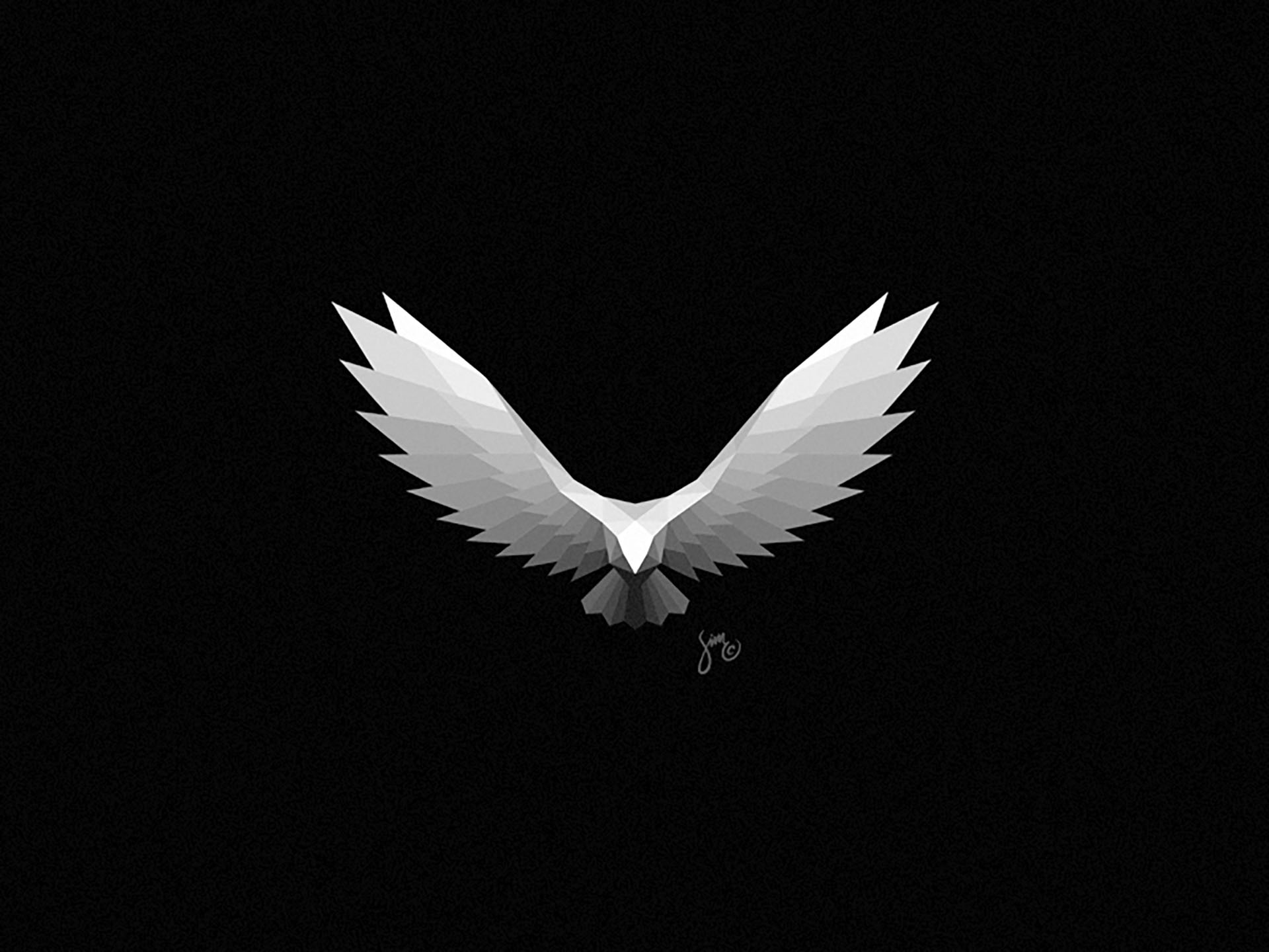 Eagle  Logo Design logo flight simple polygon nature black white icon.jpg