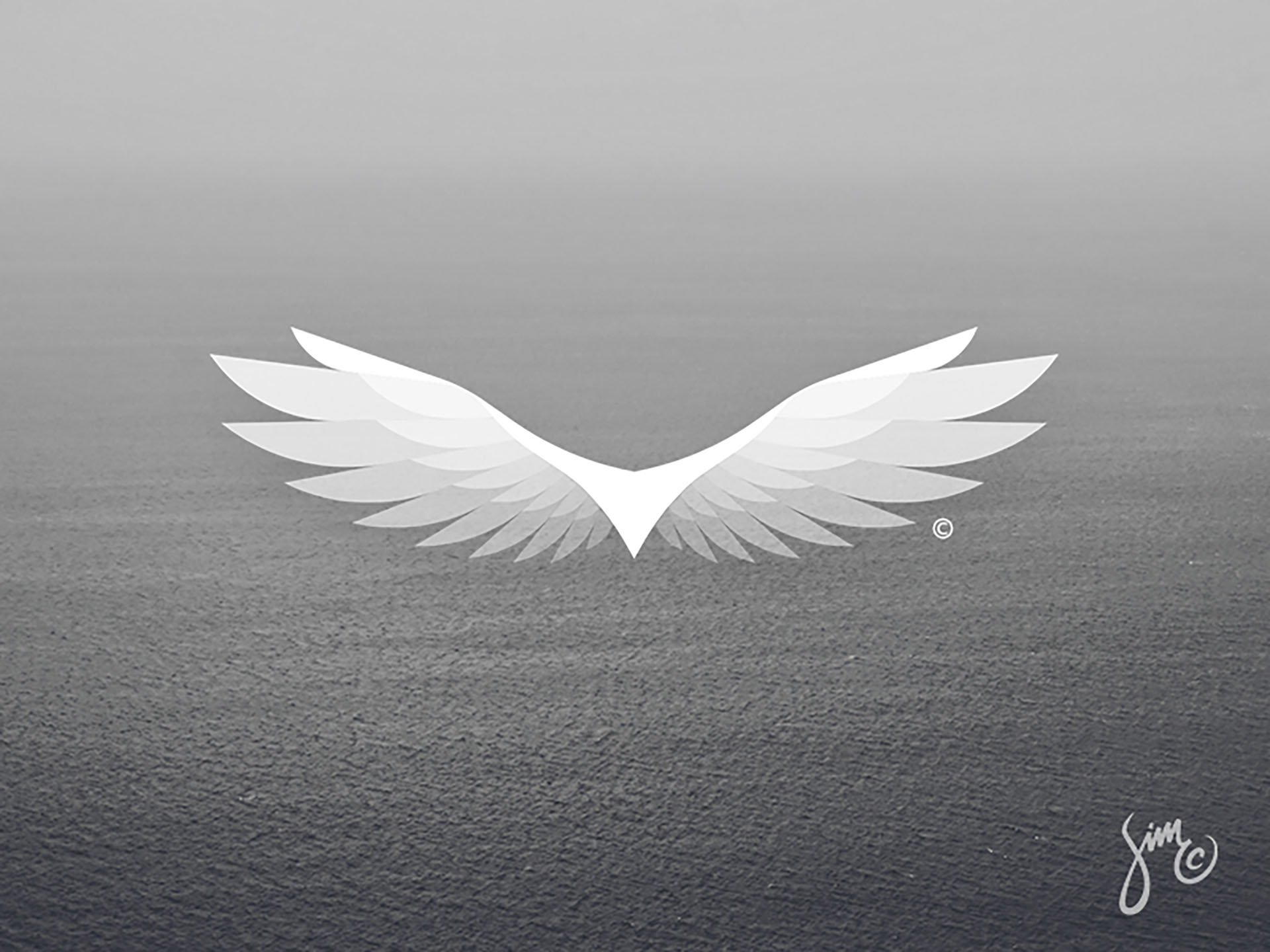 Eagle 5  Logo Design concept white float mark majestic logo design log.jpg