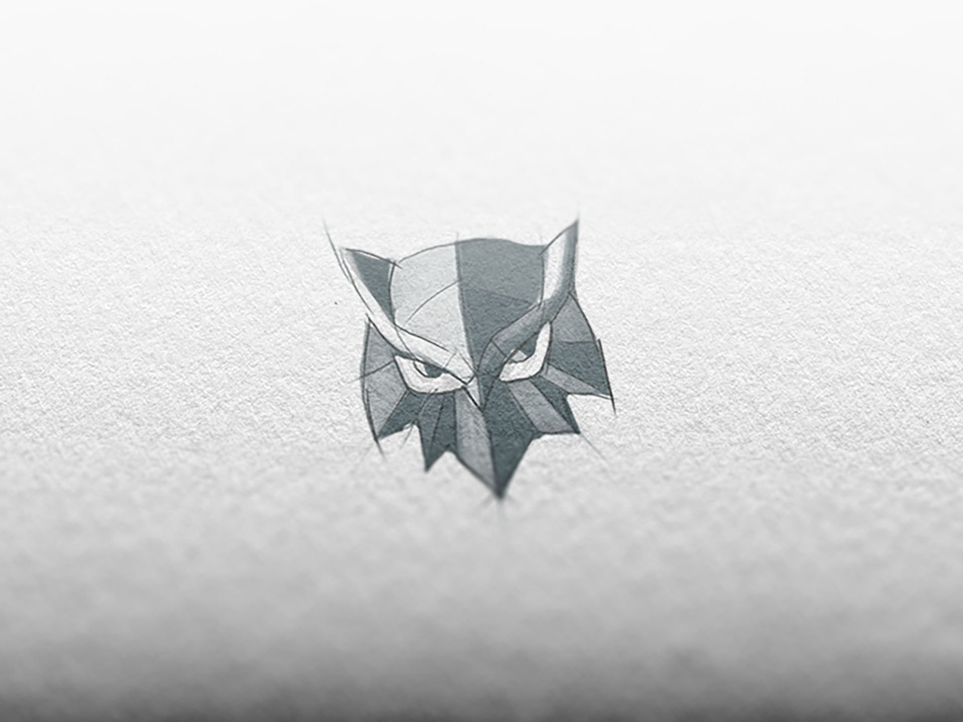 Owl  Sketch owl bird sketch wip design logo icon mark mockup deep look.jpg