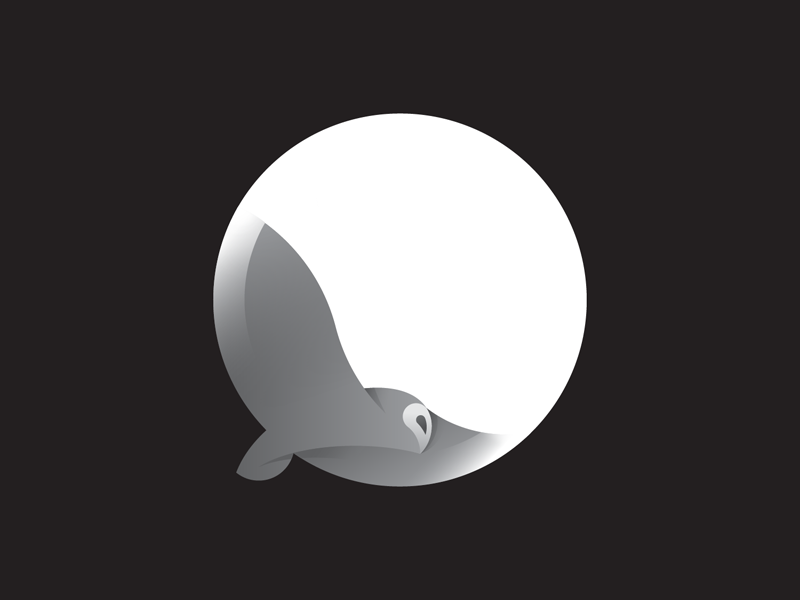 Owl owl owl logo bird bird logo logo gradient gradient logo animal ani.png