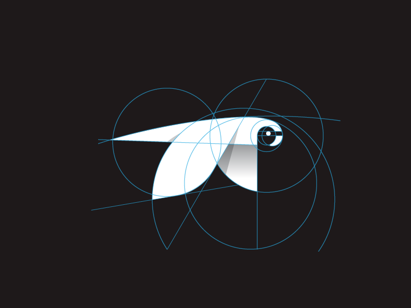 Parrot Grid grid parrot parrot logo bird bird logo logo flying bird lo.png