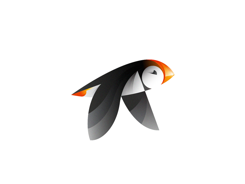 Puffin icon mark black orange flying bird animal logo gradient logo bi.png