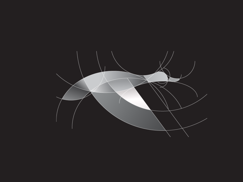 Ruddy Shelduck Construction logo grid duck flying duck bird bird logo.png