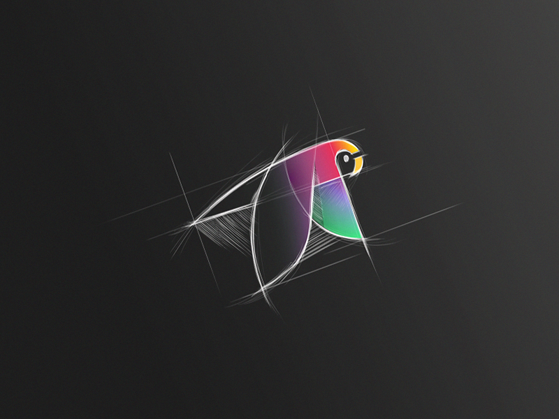 Parrot Sketch sketch parrot parrot logo bird bird logo logo flying bir.png