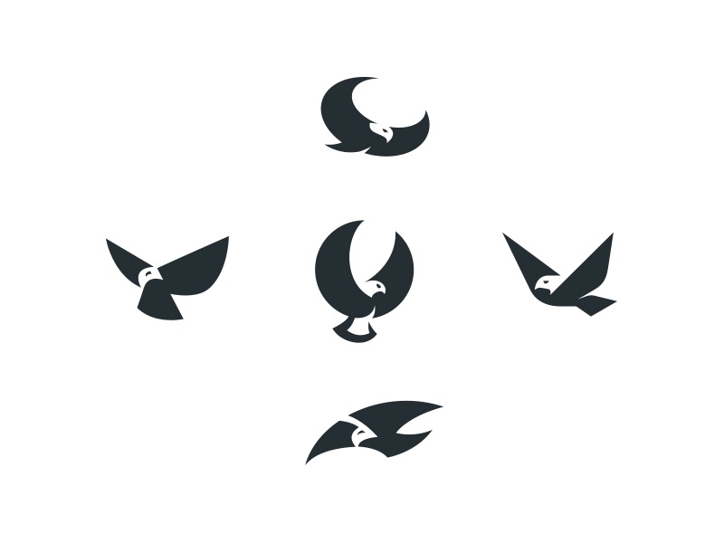 Birds bodea daniel creatank kreatank brand-identity logo negative-spac.jpg