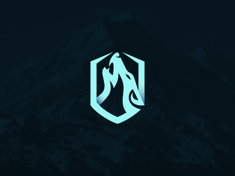 Howling Wolf mountain gym sports creative brand identity illustration.jpg