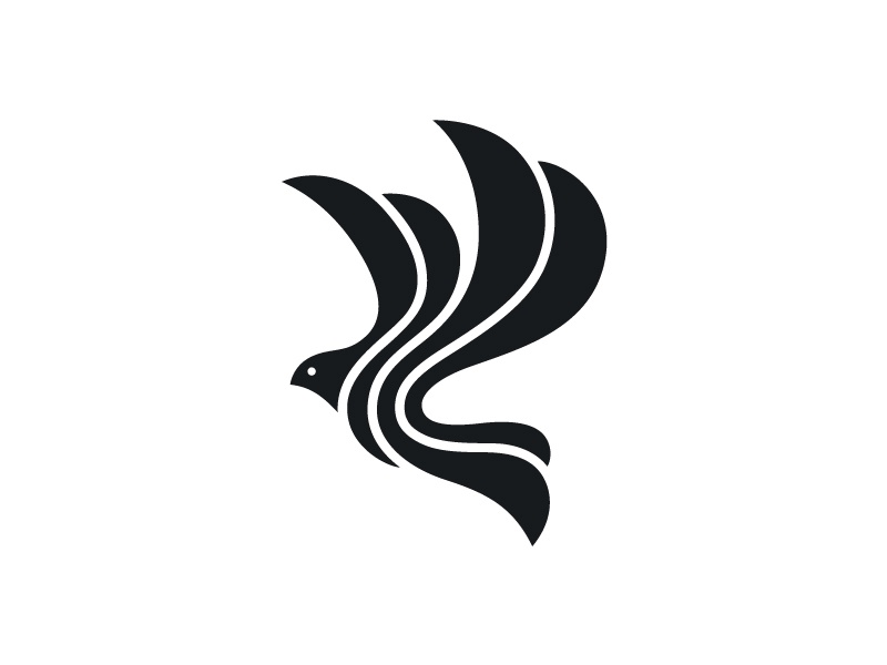 Bird wings fly identity branding bird abstract line animal symbol mark.jpg