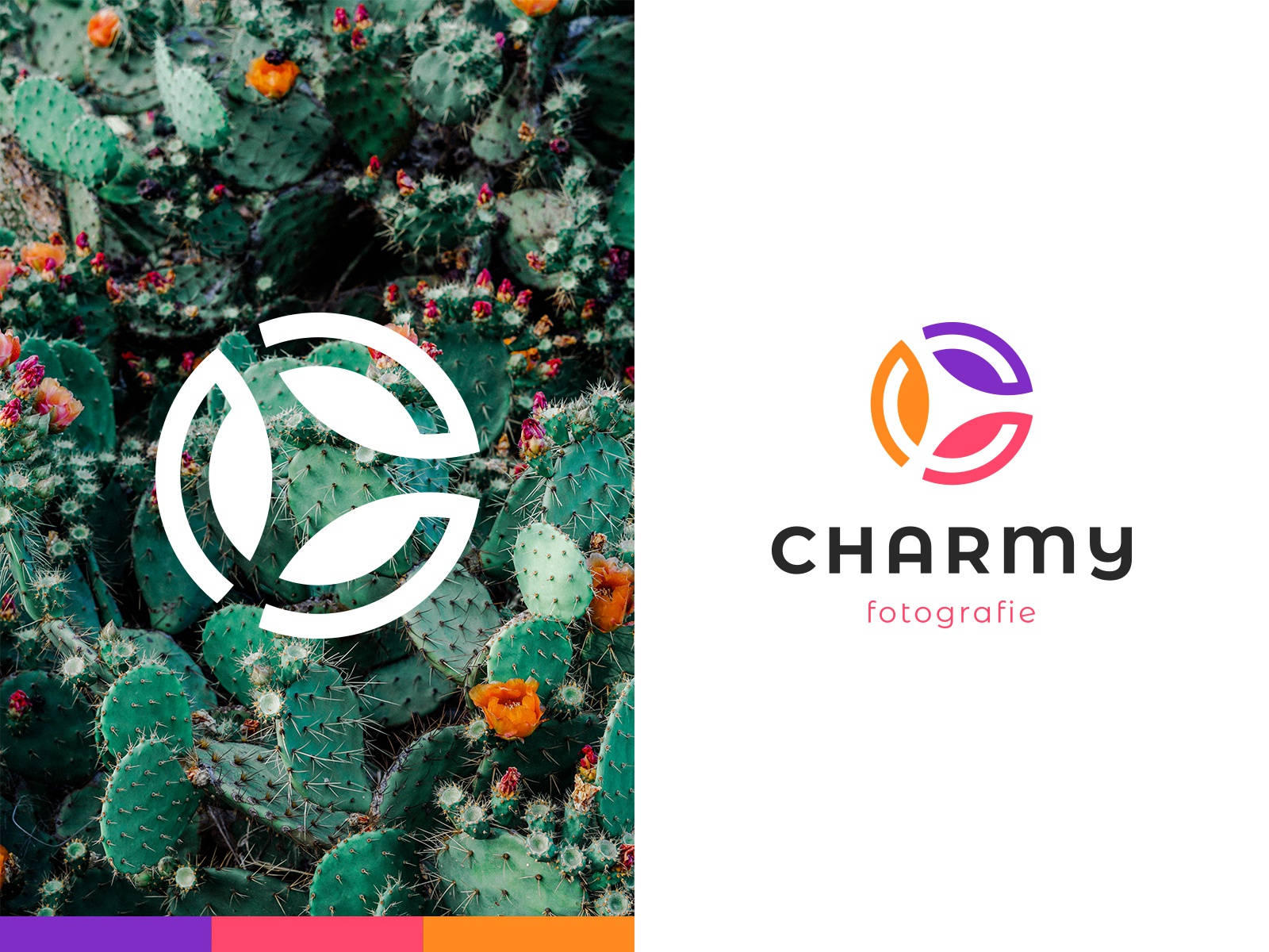 Charmy Fotografie monogram lettermark photo studio fotografie photogra.jpg