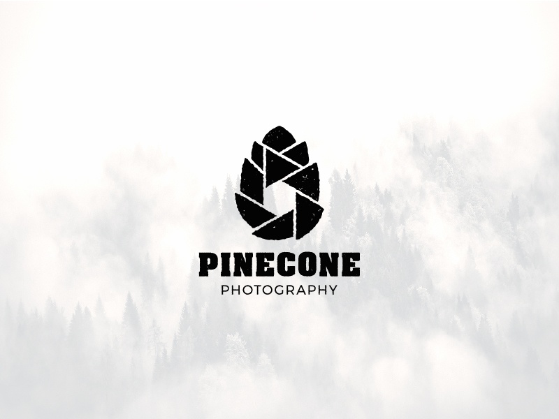 Pinecone identity branding nature photography photo shutter pinecone s.jpg