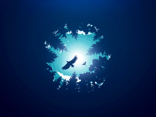 Bird flight illustration popular sky negative landscape tree flight tr.webp