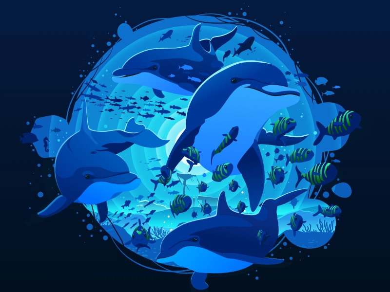 Dolphins  circle artwork art popular fishing depth negative trend natu.webp