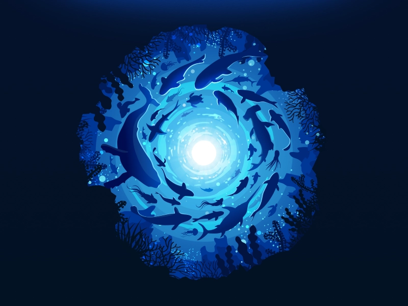 Fish Swirl first dribbble artwork landscape school swirl vortex whale.webp