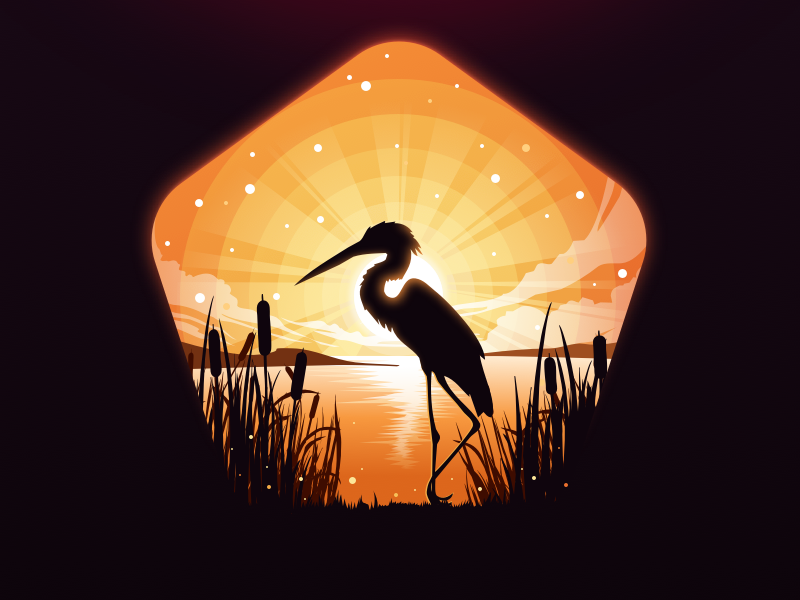 Heron bird forest vector silence calm balance orange reeds swamp lake.webp