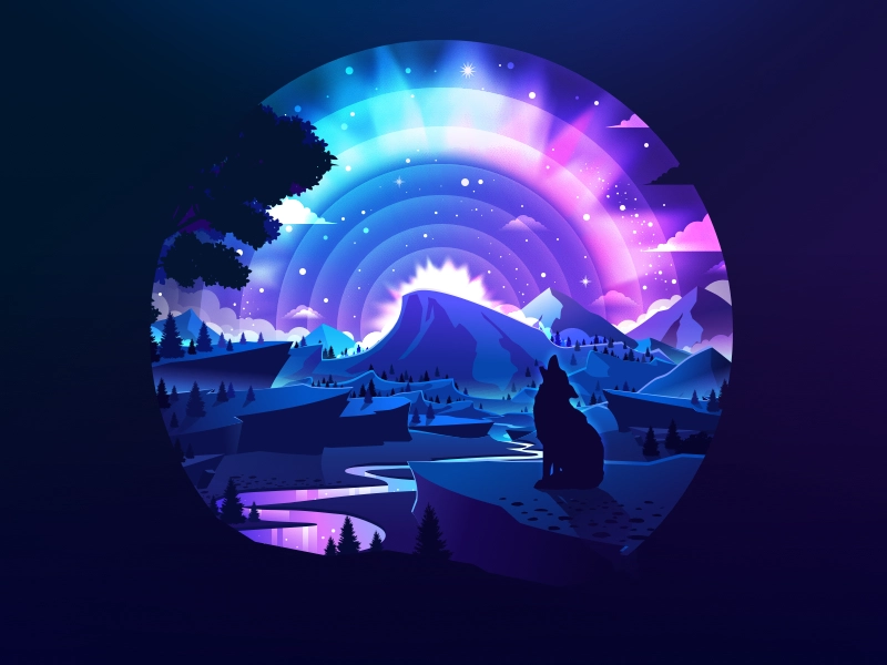 Lone Wolf scene popular view scenery kind beast lonely northern lights.webp