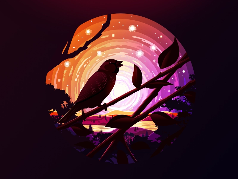 Sparrow art inspire stars trend negative calm sky relax circleart arts.webp