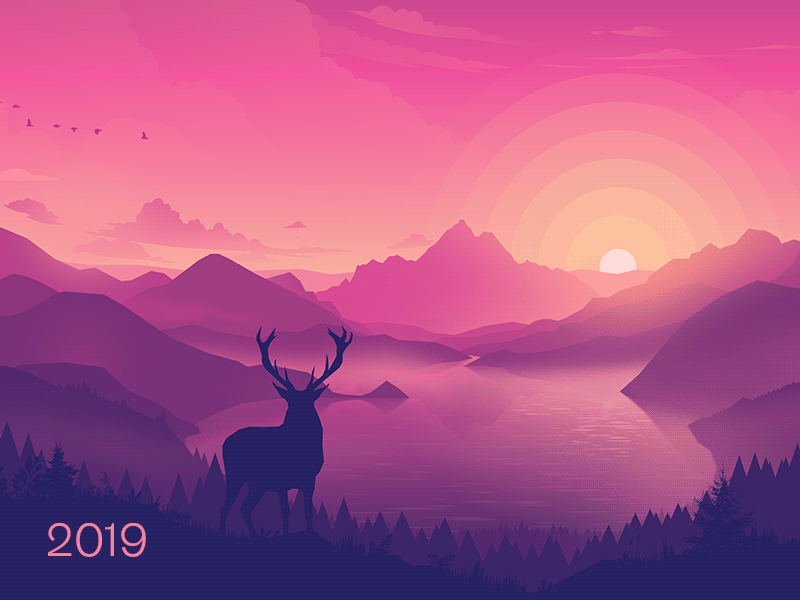 Lakeside 2019 wallpaper background nature animals vector sunset illust.gif