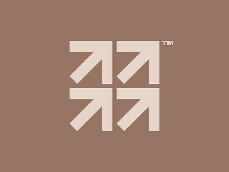 Pure Progress Ltd. Log  Brand Identity visual identity brand identity.png