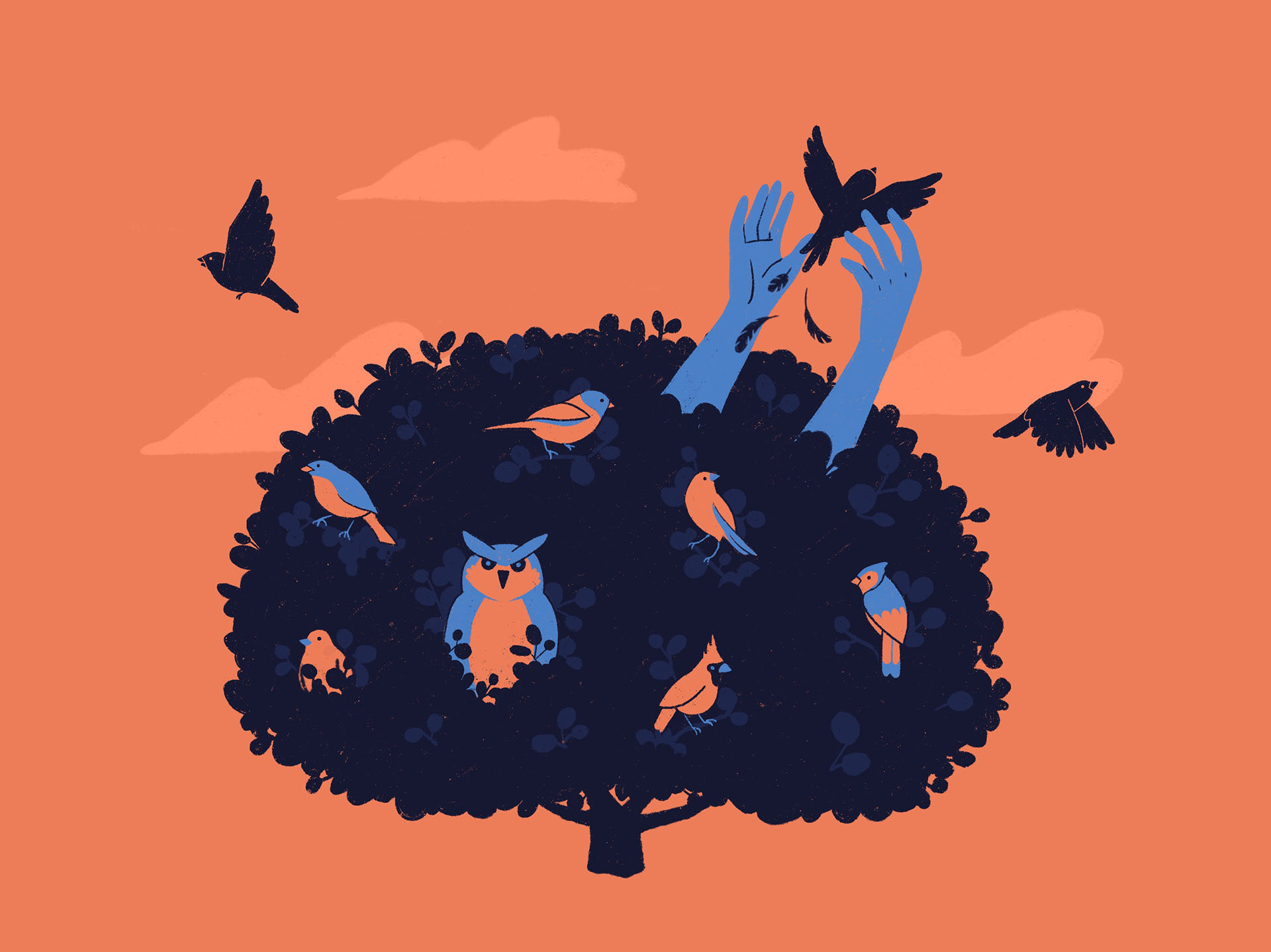 Birds in the bush. A piece about the struggles of freelancing. Made in.jpg