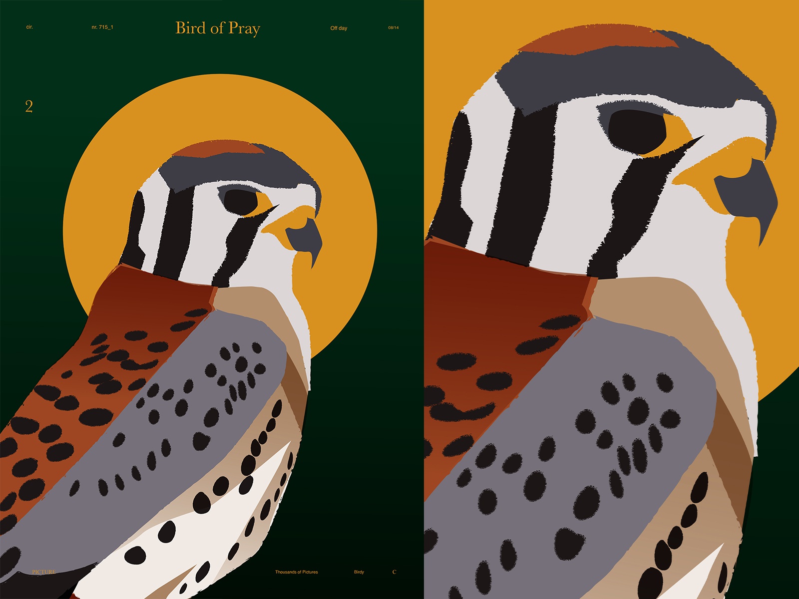 Bird of Pray fragment bird illustration bird poster art lines poster l.jpg