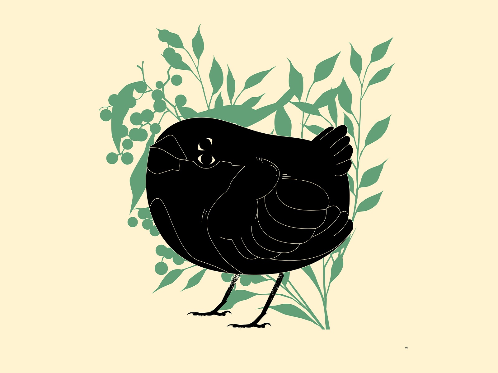 Sparrow sparrow illustration bird illustration floral bird animal illu.jpg