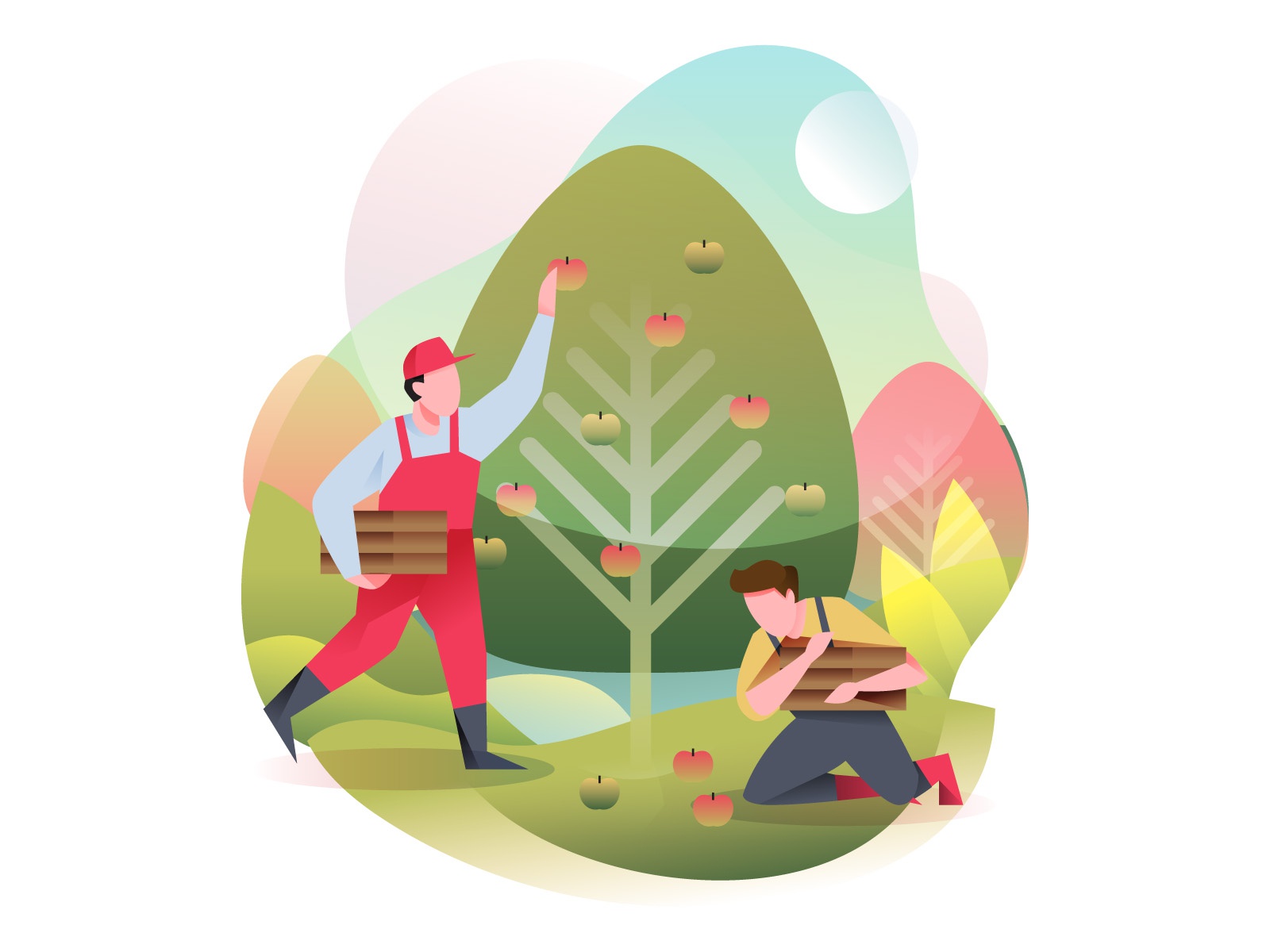 Apple Harvest Illustration cartooning cartoon character design charact.jpg