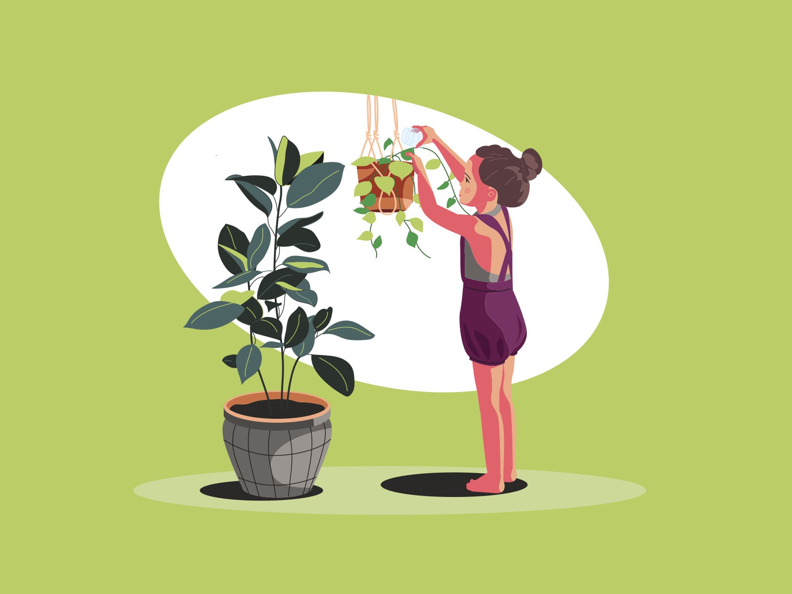 Plant watering illustration cartooning cartoon character design charac.jpg