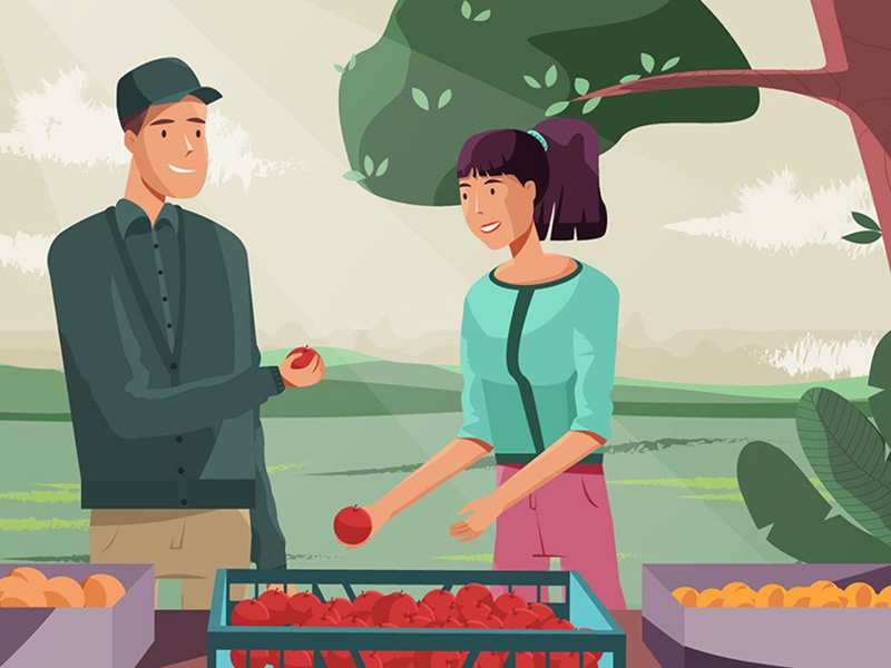 Farmers fruit nature apple farmer illustration design character.jpg