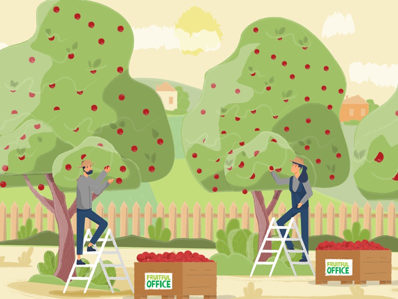 Harvest nature harvest hardwork work people tree apple flowers plants.jpg