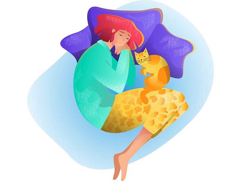 Night dreams cat drawing relaxs dream sleep cat hair love girl woman f.jpg